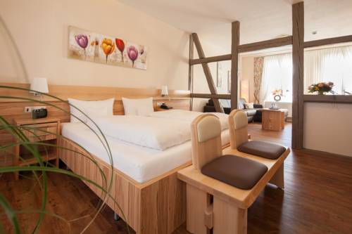 Imagen de la habitación del Hotel Gda Schwiecheldthaus. Foto 5