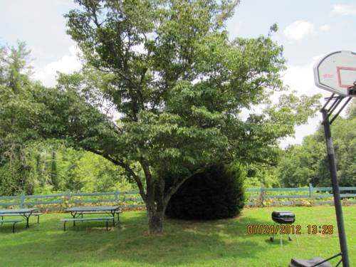 Imagen de la habitación del Hotel Gear Head Inn - Whittier. Foto 9