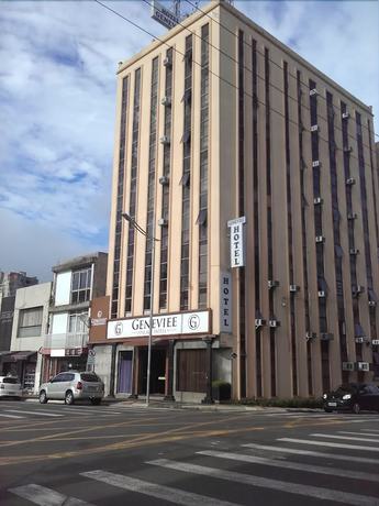 Imagen general del Hotel Geneviee Palace. Foto 1