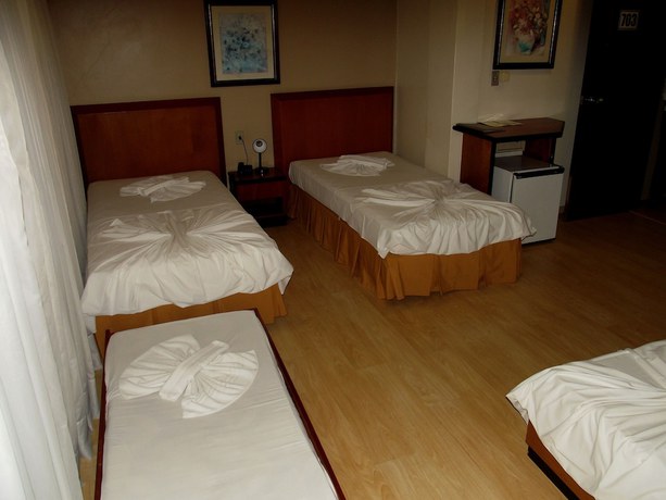 Imagen de la habitación del Hotel Geneviee Palace. Foto 14