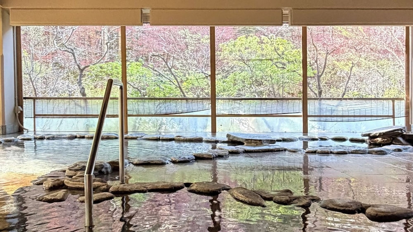 Imagen general del Hotel Gensen Itto Iwate Shizukuishi, Shizukuishi. Foto 1