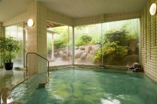 Imagen de la piscina del Hotel Gensen No Yado Shofuen. Foto 6