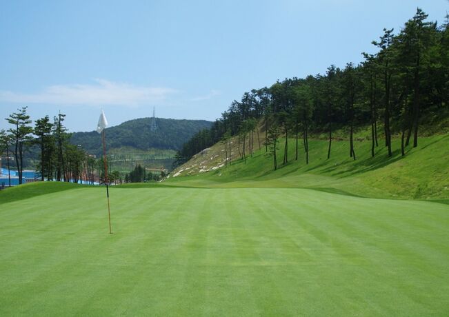 Imagen general del Hotel Geoje View Golf-tel. Foto 6