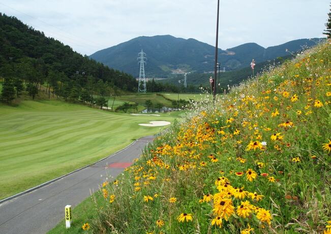 Imagen general del Hotel Geoje View Golf-tel. Foto 9