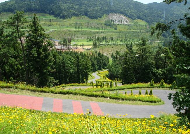 Imagen general del Hotel Geoje View Golf-tel. Foto 11