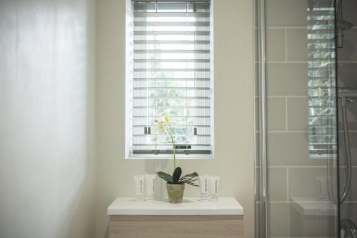 Imagen de la habitación del Hotel George, Best Western Signature Collection. Foto 7