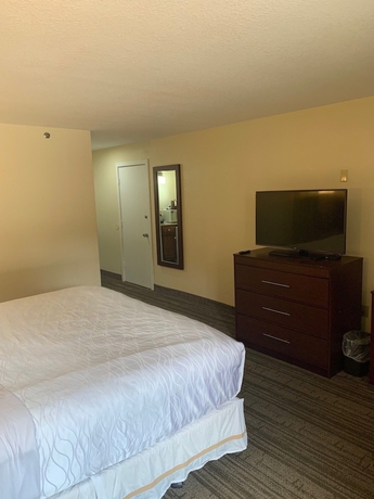Imagen de la habitación del Hotel George Washington Busch Gardens. Foto 9