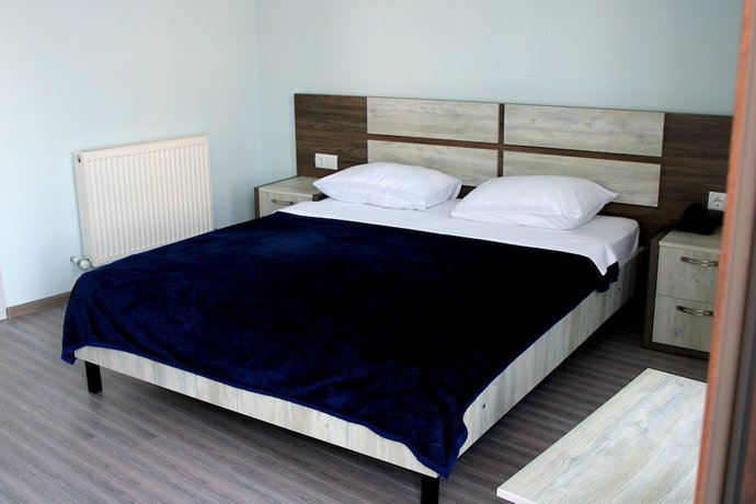 Imagen de la habitación del Hotel Georgia, Batumi. Foto 9