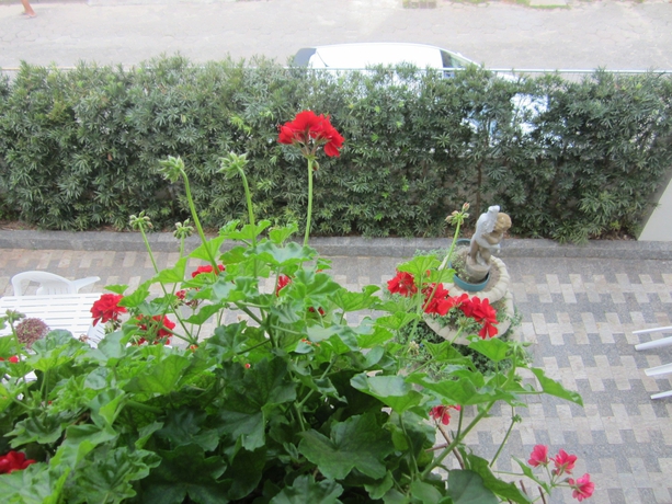 Imagen de los exteriores del Hotel Geranius Praia Dos Ingleses. Foto 10