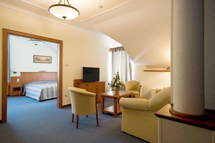 Imagen de la habitación del Hotel Geréby Kúria és Lovasudvar. Foto 4