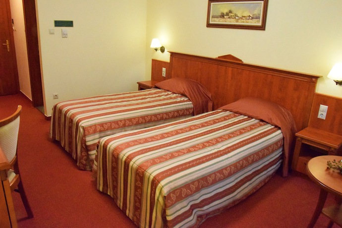 Imagen de la habitación del Hotel Geréby Kúria és Lovasudvar. Foto 6