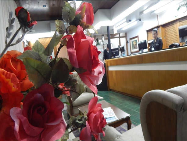 Imagen de los interiores del Hotel Germ&acirc;nias Blumen. Foto 11