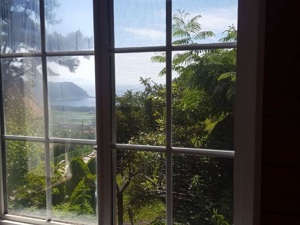 Imagen general del Hotel German Village Gelbe Haus. Foto 9