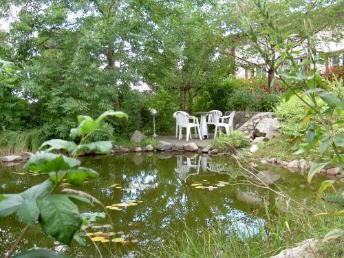 Imagen general del Hotel Gesellschaftshaus. Foto 6