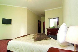 Imagen general del Hotel Gestia Hotel. Foto 4
