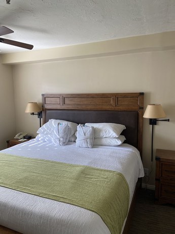 Imagen de la habitación del Hotel GetAways at Park Regency Resort. Foto 2