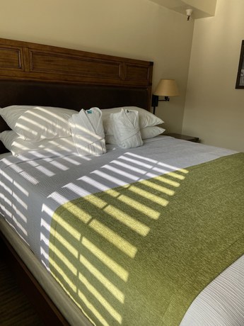 Imagen de la habitación del Hotel GetAways at Park Regency Resort. Foto 8
