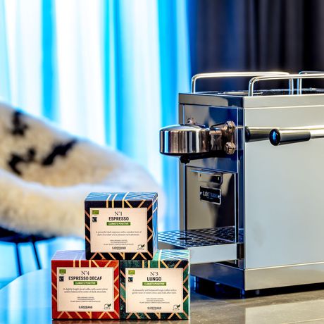 Imagen de la habitación del Hotel Geysir. Foto 11