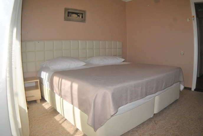 Imagen de la habitación del Hotel Geyzer. Foto 13