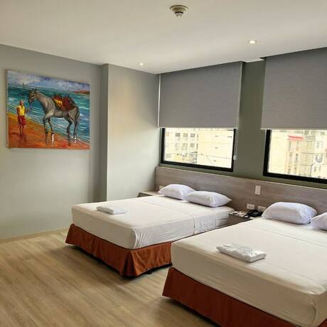 Imagen general del Hotel Gh Sander. Foto 9