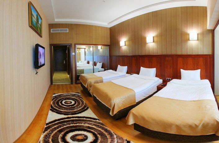 Imagen de la habitación del Hotel Gherdan Park. Foto 11