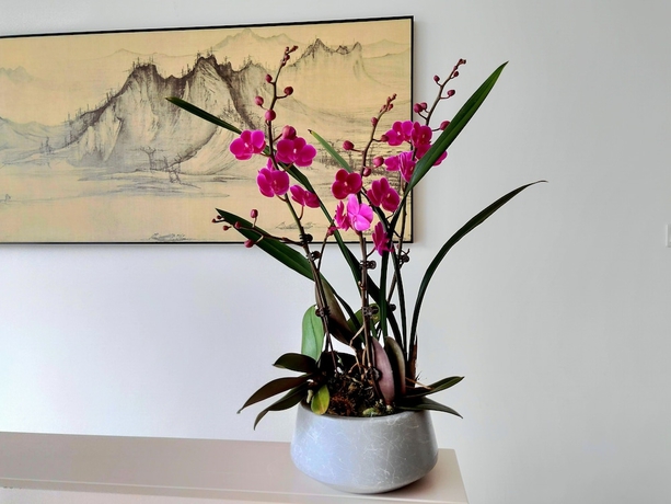 Imagen de los interiores del Hotel Ghic The Mulian Of Bio-island Guangzhou. Foto 16