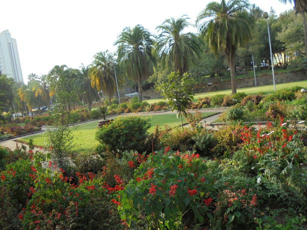 Imagen de los interiores del Hotel Ghion. Foto 13