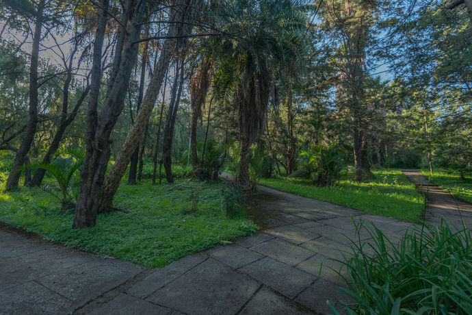 Imagen general del Hotel Ghion. Foto 3