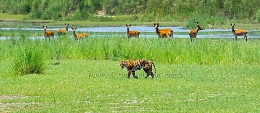 Imagen general del Hotel Ghumtee Riviera Resort. Foto 8