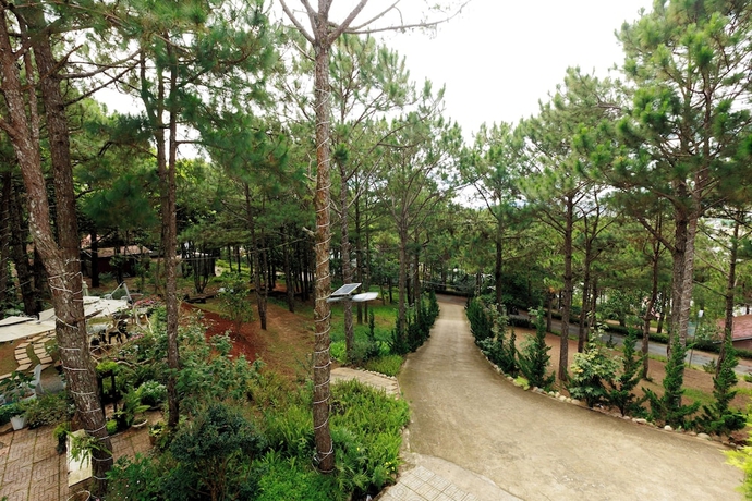 Imagen general del Hotel Gia An Dalat. Foto 1