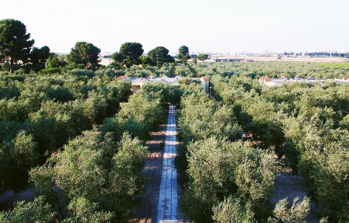 Imagen de los exteriores del Hotel Giardino Degli Ulivi Resort. Foto 2