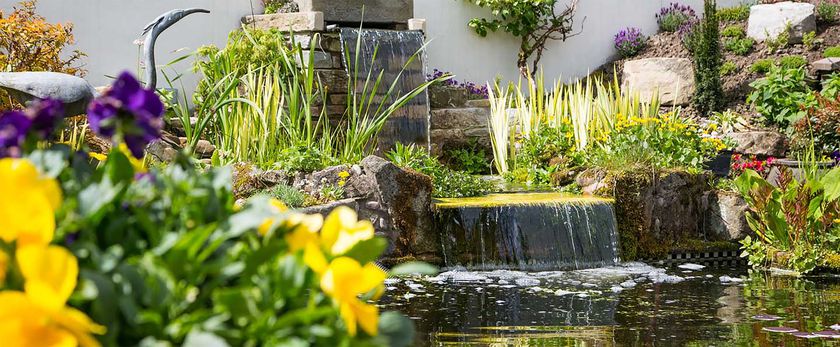 Imagen de la habitación del Hotel Gibbon Bridge. Foto 7