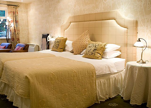 Imagen de la habitación del Hotel Gibbon Bridge. Foto 8