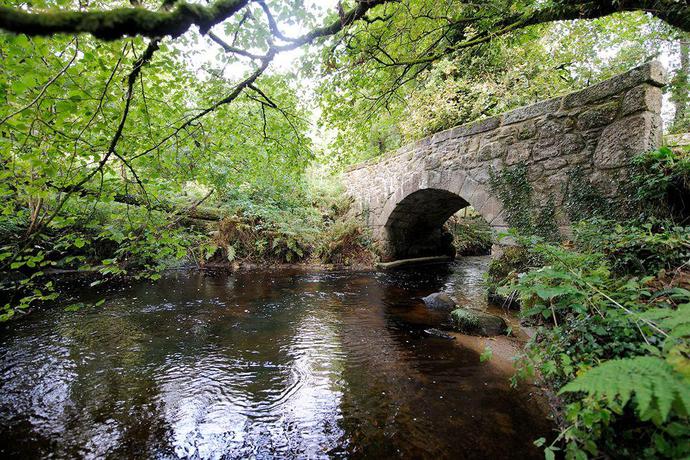 Imagen de los exteriores del Hotel Gidleigh Park. Foto 12