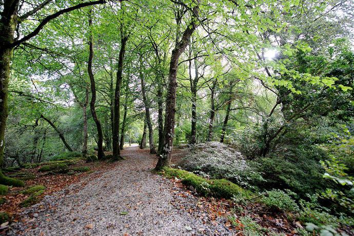 Imagen de los exteriores del Hotel Gidleigh Park. Foto 15