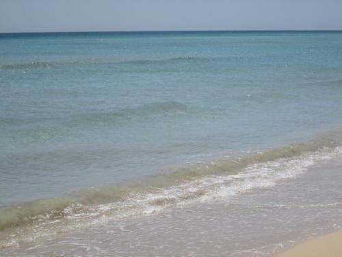 Imagen general del Hotel Gigli Salento, Pescoluse. Foto 5