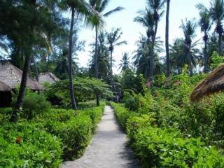 Imagen general del Hotel Gili Air. Foto 4