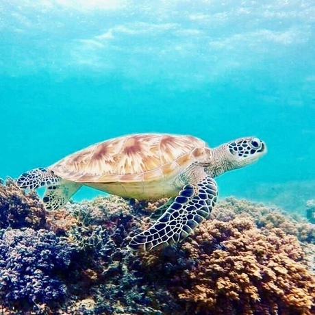 Imagen de los exteriores del Hotel Gili Ocean Club - Adults Only. Foto 16