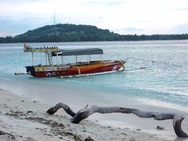 Imagen general del Hotel Gili T Resort. Foto 7