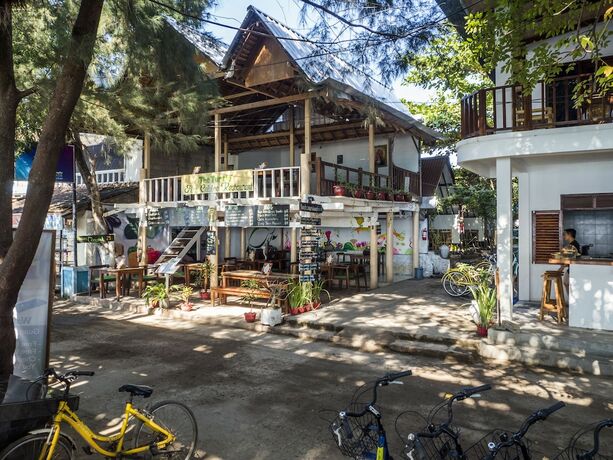 Imagen general del Hotel Gili Turtle Beach Resort. Foto 4