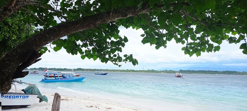 Imagen general del Hotel Gili Welldone Guesthouse. Foto 5