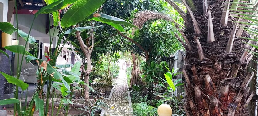 Imagen general del Hotel Gili Welldone Guesthouse. Foto 10