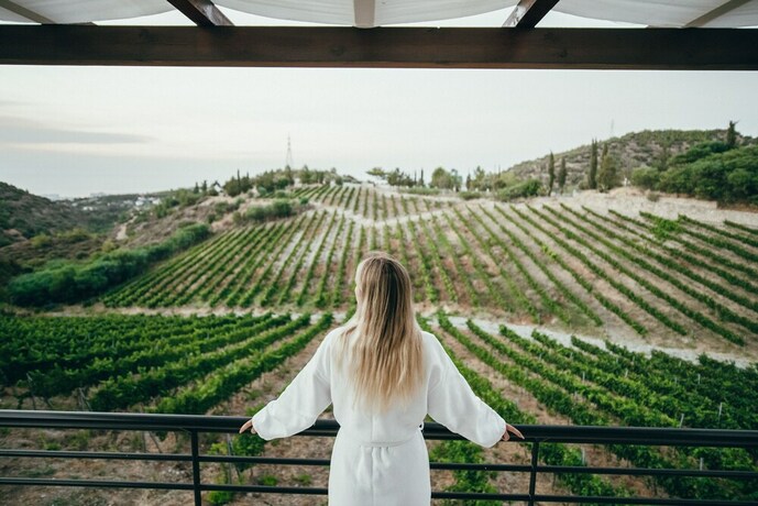 Imagen general del Hotel Gillham Vineyard. Foto 9