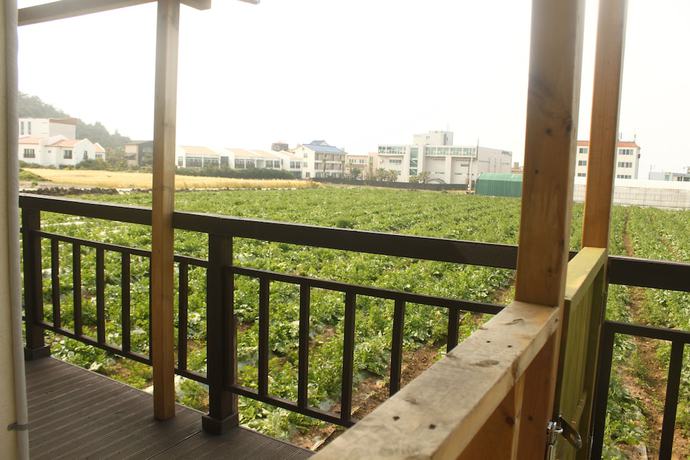 Imagen de los interiores del Hotel Gillime Pension. Foto 19