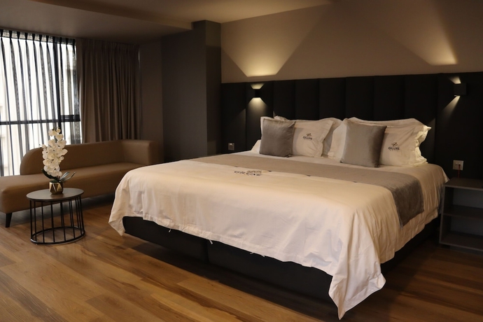 Imagen de la habitación del Hotel Giluxe, AMCO, Area Metropolitana Centro Occidente. Foto 12
