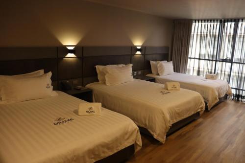 Imagen general del Hotel Giluxe, AMCO, Area Metropolitana Centro Occidente. Foto 5