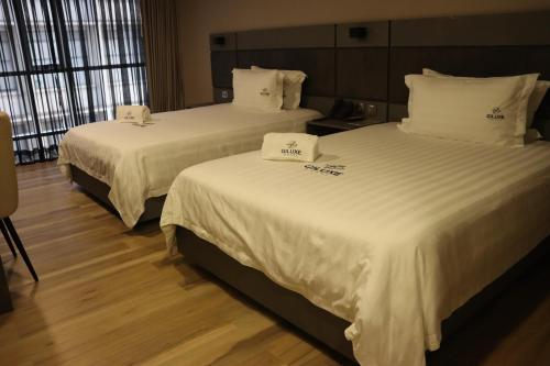 Imagen de la habitación del Hotel Giluxe, AMCO, Area Metropolitana Centro Occidente. Foto 18