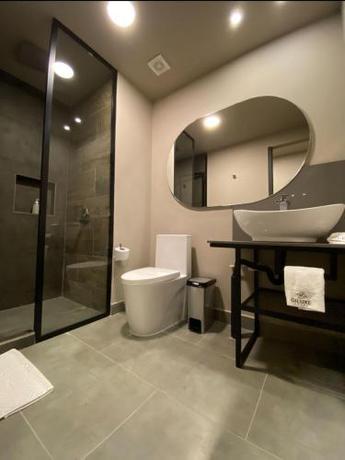 Imagen de la habitación del Hotel Giluxe, AMCO, Area Metropolitana Centro Occidente. Foto 20