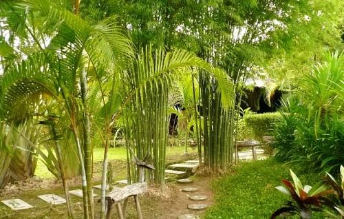 Imagen general del Hotel Gims Resort. Foto 14
