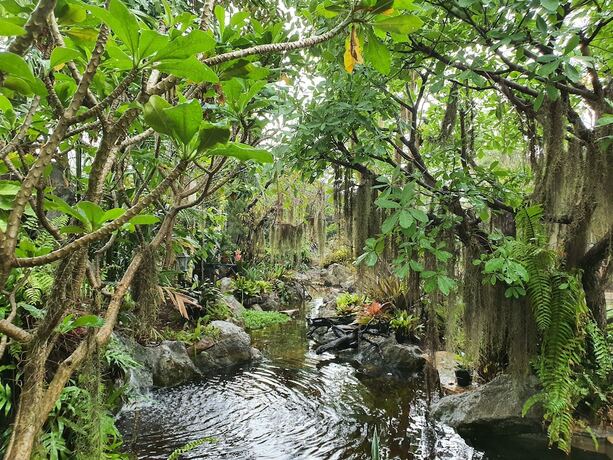 Imagen general del Hotel Ginger Bread House - Pet Lover Resort. Foto 6